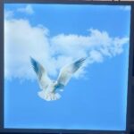 BIRD PANEL