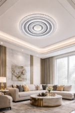 25502 CEILING LIGHT
