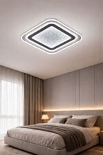25001 CEILING LIGHT